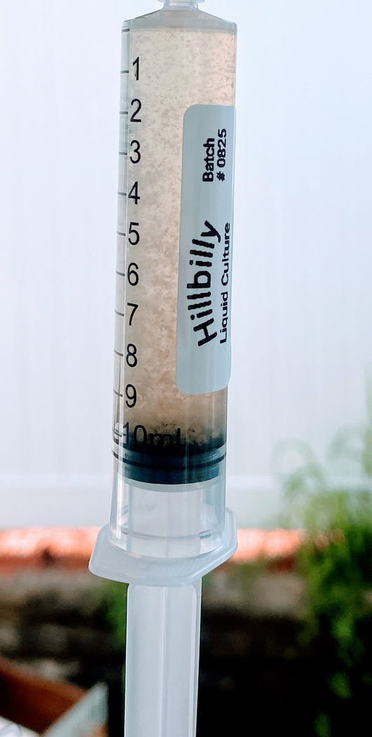 10ml Hillbilly Mushroom Spore Syringe